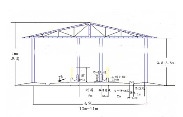 养牛场建设方案